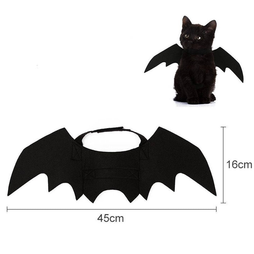 Cute Halloween Cat Bat Wings Halloween