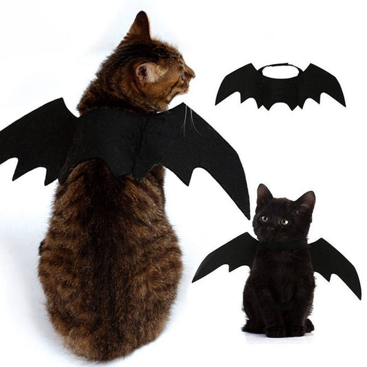 Cute Halloween Cat Bat Wings Halloween