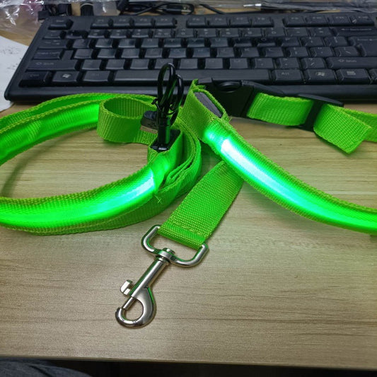 LED Dog Leash, Light-Emitting Pet Leash, 120cm Length, 6 Colors