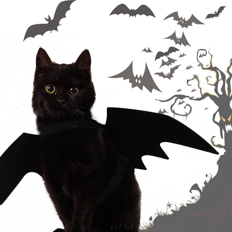 Cute Halloween Cat Bat Wings Halloween