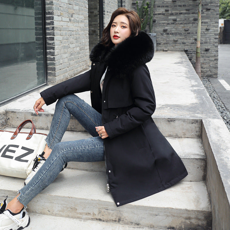 Korean jacket cotton coat for women's fashion NLB
