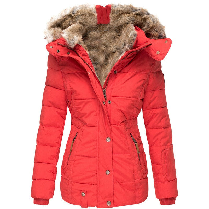 Coat Women's Zipper Long Sleeve Slim Fit Cotton Coat Coat Hooded Coat-NB
