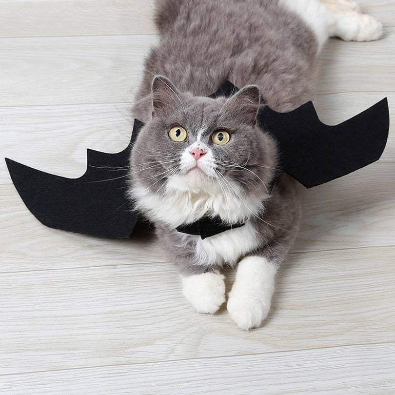 Cute Halloween Cat Bat Wings Halloween