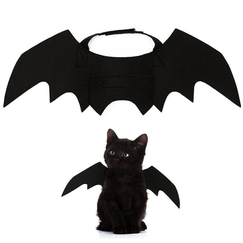 Cute Halloween Cat Bat Wings Halloween